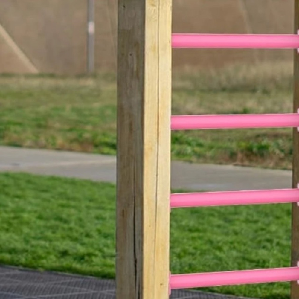 Monkey Bars Kit Playground Ladder Rungs for Backyard (Pink, 12 Pcs)